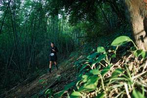 BIB: 
                            <button type="button" onclick="openModal(28124137)" class="btn btn-primary btn-sm float-right btn-popup" data-toggle="modal" data-target=".modal-high-quality">
                        <i class="fas fa-shopping-cart"></i> Add to Cart
                    </button>
                                            <button type="button" onclick="isThisMe(28124137, true)" class="btn btn-success btn-sm float-right btn-popup btn-isme hidden" data-toggle="tooltip" data-placement="bottom" title="นี่คือรูปของคุณใช่ไหม คลิกที่นี่เพื่อเอาเข้าอัลบั้ม">
                        <i class="fas fa-plus"></i> Add to album
                    </button>
                    <button type="button" onclick="isThisMe(28124137, false)" class="btn btn-warning btn-sm float-right btn-popup btn-isnotme hidden">
                        <i class="fas fa-ban"></i> Remove from album
                    </button>